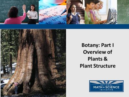 Botany: Part I Overview of Plants & Plant Structure.