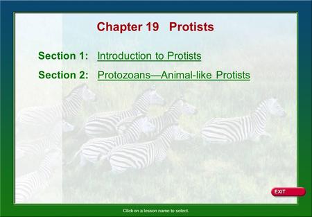 Chapter 19 Protists Section 1: Introduction to Protists