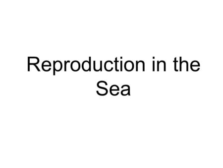 Reproduction in the Sea. Heredity : the passing of traits from parents to offspring Trait Trait : a genetically determined characteristic or condition.