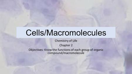 Cells/Macromolecules