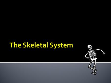  Axial skeleton – bones of the skull, vertebral column, and rib cage  80 bones make up the Axial Skeleton  Appendicular skeleton – bones of the upper.