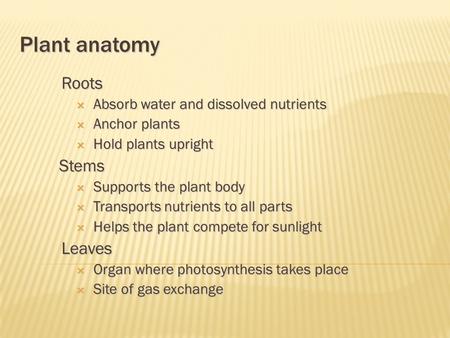 Plant anatomy Roots  Absorb water and dissolved nutrients  Anchor plants  Hold plants upright Stems  Supports the plant body  Transports nutrients.