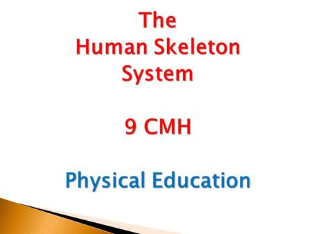 The Human Skeleton System 9 CMH Physical Education