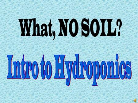 Hydroponics is growing plants by supplying all necessary nutrients in the plants’ water supply rather than through the soil.