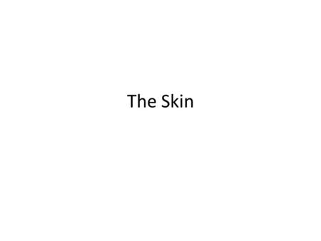 The Skin. Skin Made of three layers – epidermis – Dermis – hypodermis.