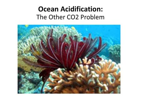 Ocean Acidification: The Other CO2 Problem. The oceans absorb more than 25 percent of anthropogenic CO2, eventually lowering the pH of seawater and the.