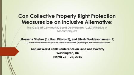 Can Collective Property Right Protection Measures be an Inclusive Alternative: The Case of Community Land Delimitation (CLD) Initiative in Mozambique?