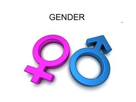 GENDER. Cambridge Dictionary the physical and/or social condition of being male or female Does this test show the gender of the baby? Discrimination on.