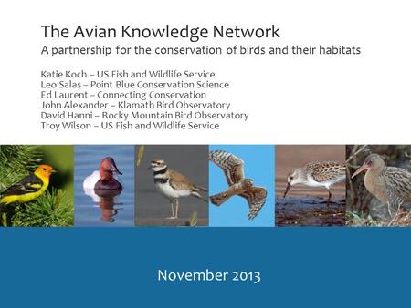 The Avian Knowledge Network A partnership for the conservation of birds and their habitats November 2013 Katie Koch – US Fish and Wildlife Service Leo.
