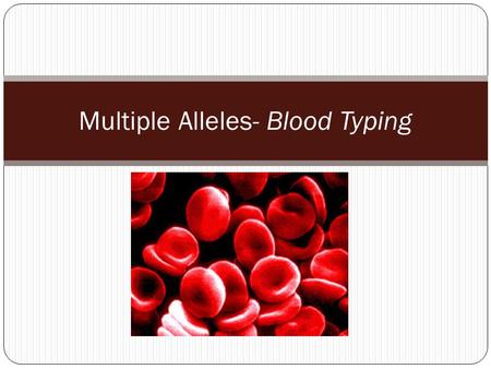 Multiple Alleles- Blood Typing. How common is your blood type? 46.1% 38.8% 11.1% 3.9%