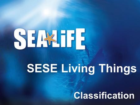 SESE Living Things Classification.