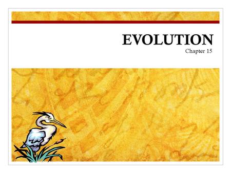 EVOLUTION Chapter 15. Charles Darwin In your own words, describe what YOU think the theory of evolution means… QUESTION.