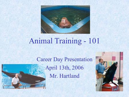 Animal Training - 101 Career Day Presentation April 13th, 2006 Mr. Hartland.