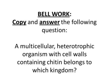 BELL WORK: Copy and answer the following question: A multicellular, heterotrophic organism with cell walls containing chitin belongs to which kingdom?