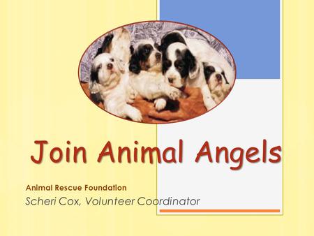 Join Animal Angels Animal Rescue Foundation Scheri Cox, Volunteer Coordinator.