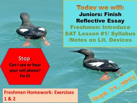 Freshmen Homework: Exercises 1 & 2. 1 st Period7:25 – 8:25 2 nd Period8:30 – 9:35 3 rd Period9:40 – 10:40 Lunch A10:40 – 11:10 Period 4A11:15 – 12:10.