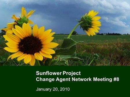 1 Sunflower Project Change Agent Network Meeting #8 January 20, 2010.