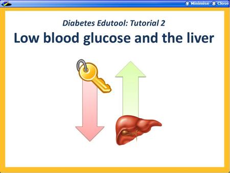 Diabetes Edutool: Tutorial 2 Low blood glucose and the liver.