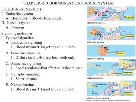 CHAPTER 45 HORMONES & ENDOCRINE SYSTEM