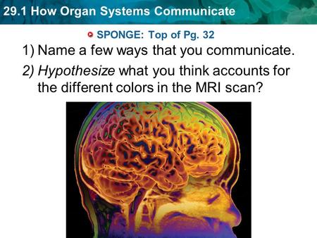 29.1 How Organ Systems Communicate SPONGE: Top of Pg. 32 1)Name a few ways that you communicate. 2)Hypothesize what you think accounts for the different.