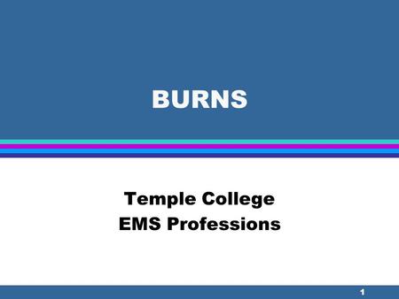 1 BURNS Temple College EMS Professions. 2 Anatomy of Skin l Largest body organ l More than just a passive covering.