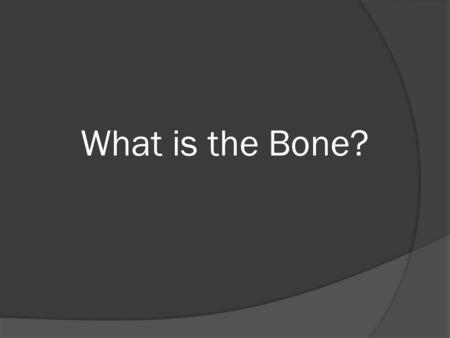 What is the Bone?. Connective tissue  Organic matrix (cells & proteins)  Inorganic elements (calcium hydroxyapatite)