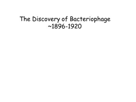 The Discovery of Bacteriophage