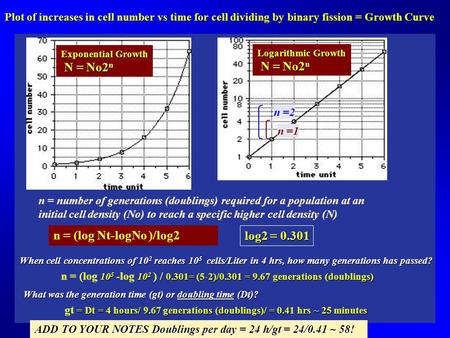 Plot of increases in cell number vs time for cell dividing by binary fission = Growth Curve Logarithmic Growth N = No2 n N = No2 n Exponential Growth N.