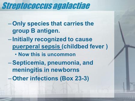 Streptococcus agalactiae –Only species that carries the group B antigen. –Initially recognized to cause puerperal sepsis (childbed fever ) Now this is.