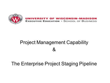 Project Management Capability &