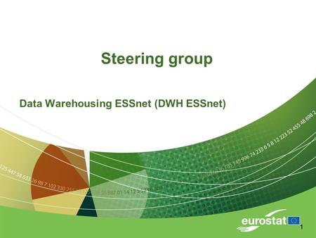 11 Steering group Data Warehousing ESSnet (DWH ESSnet)