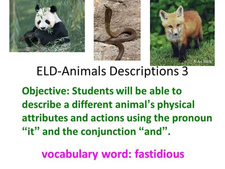 ELD-Animals Descriptions 3 Objective: Students will be able to describe a different animal’s physical attributes and actions using the pronoun “it” and.