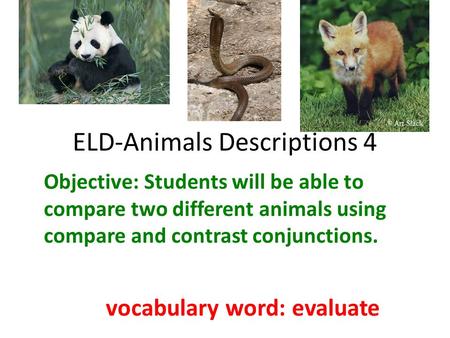 ELD-Animals Descriptions 4 Objective: Students will be able to compare two different animals using compare and contrast conjunctions. vocabulary word:
