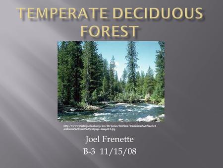 Joel Frenette B-3 11/15/08  eciduous%20forest%20webpage_image076.jpg.