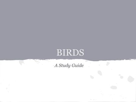 BIRDS A Study Guide. Raptors! Part 1 Bald Eagle!