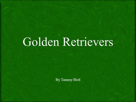 Golden Retrievers By Tammy Bird. Navigation BackHomeNext Standards/ Temperament Care & Exercise Fun Facts.