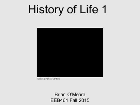 History of Life 1 Brian O’Meara EEB464 Fall 2015 Tucson Botanical Gardens.