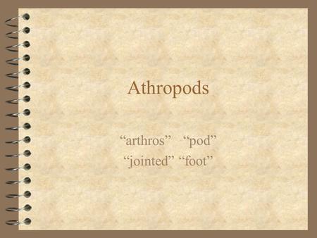 Athropods “arthros”“pod” “jointed” “foot”. Reigners and rulers of the world 4 make up over three quarters of the animal kingdom.