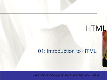 XP 1 HTML Committed to Shaping the Next Generation of IT Experts. 01: Introduction to HTML.