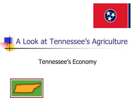 A Look at Tennessee’s Agriculture Tennessee’s Economy.