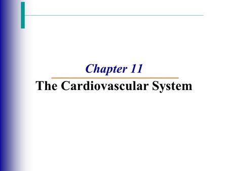Chapter 11 The Cardiovascular System. The Cardiovascular System  A closed system of the heart and blood vessels  The heart pumps blood  Blood vessels.