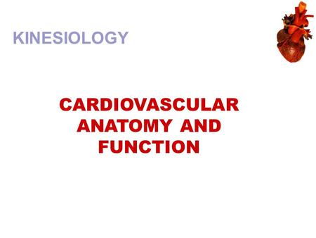 KINESIOLOGY CARDIOVASCULAR ANATOMY AND FUNCTION. Major Cardiovascular Functions  Delivery  Removal  Transport  Maintenance  Prevention.