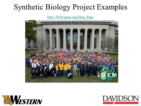 Synthetic Biology Project Examples