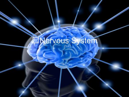 Nervous System Roles Monitors changes –What are the changes? Processes and interprets sensory input Effects a response.