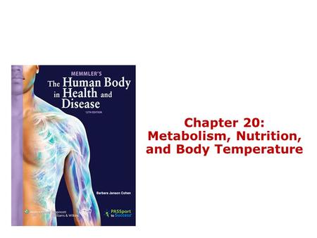 Chapter 20: Metabolism, Nutrition, and Body Temperature