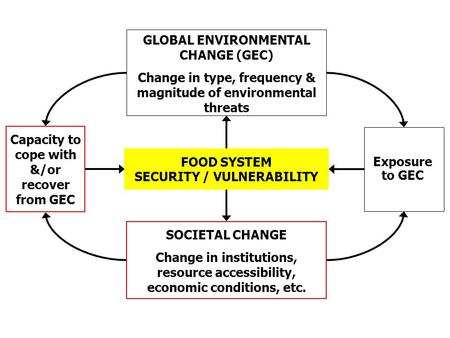 GLOBAL ENVIRONMENTAL CHANGE (GEC) Change in type, frequency & magnitude of environmental threats FOOD SYSTEM SECURITY / VULNERABILITY SOCIETAL CHANGE Change.