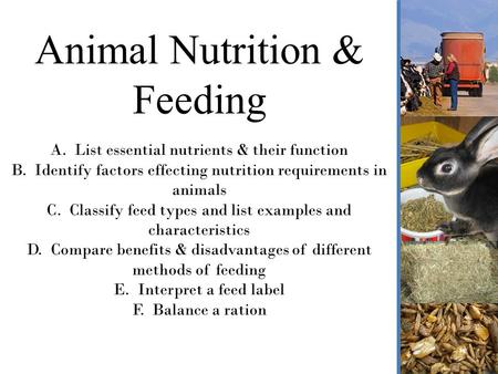 Animal Nutrition & Feeding A. List essential nutrients & their function B. Identify factors effecting nutrition requirements in animals C. Classify feed.