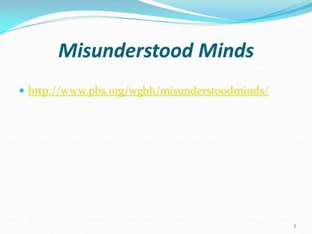 Misunderstood Minds  1.