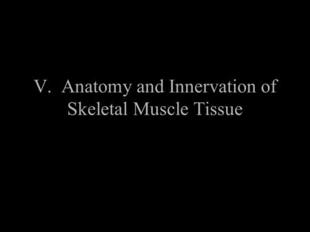 V. Anatomy and Innervation of Skeletal Muscle Tissue.