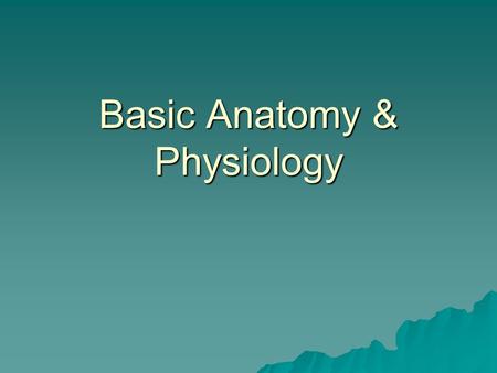Basic Anatomy & Physiology. BonesProvide:  Protection  Support  Shape.